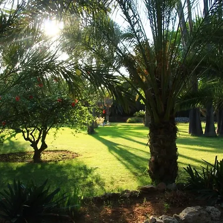 Finca Hotel Predio Son Serra